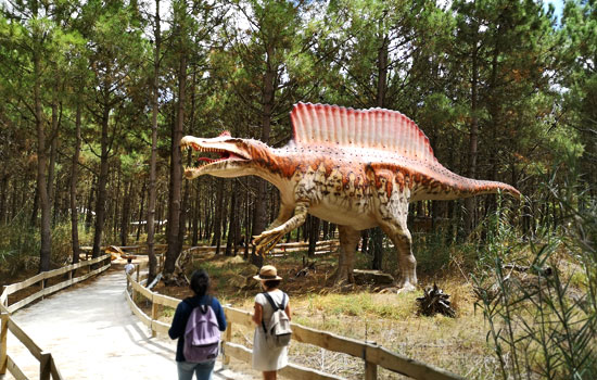 Dinosaur Park
