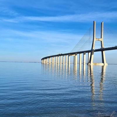 Vasco da Gama Bridge